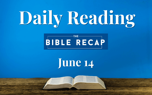 Daily Reading with The Bible Recap - June 14